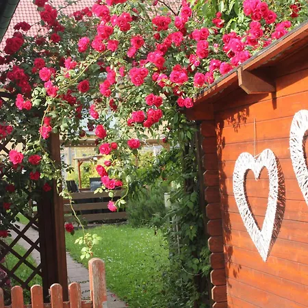 Apartament Apartmenthaus Wertheim