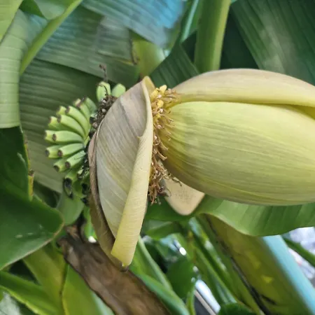 Apartmenthaus Apartment Wertheim