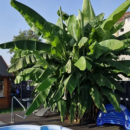 Apartment Apartmenthaus Wertheim